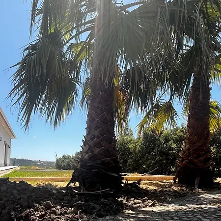 Da Fonte - 1 - Monte Bom - Ericeira Panzió